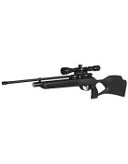 Ver Carabinas pcp gamo